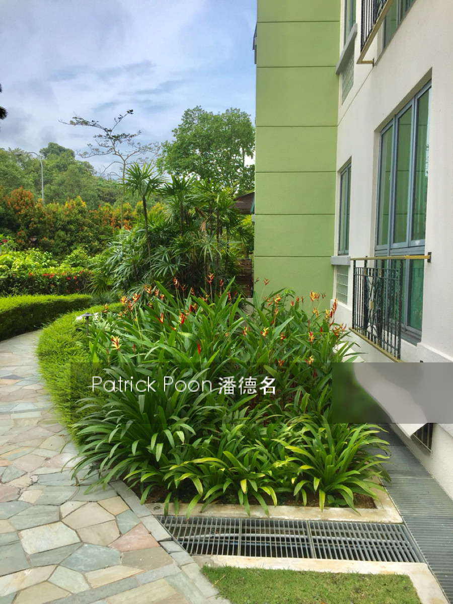 Springdale Condominium (D21), Condominium #131288502
